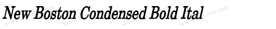New Boston Condensed Bold Italic字体转换